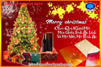Những Món Quà Đẹp Và Ý Nghĩa Cho Ngày Lễ Noel | Vỏ Hộp Quà Tết Đẹp Tại quận 8 TPHCM | Qua Tang Pha le
